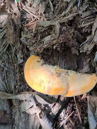 사랑천사님의 자유주제 · 자유게시판 작성글 사진