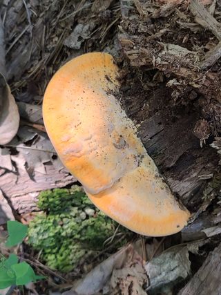 사랑천사님의 자유주제 · 자유게시판 작성글 사진