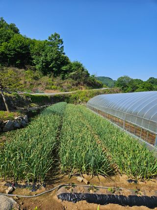 김태권님의 올해 방제 어떻게 하셨나요? · 참여글 작성글 사진
