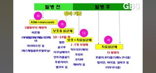 스카이2님의 올해 방제 어떻게 하셨나요? · 참여글 작성글 사진