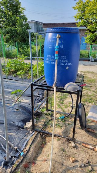 김중언님의 고추 · 영농일지 작성글 사진