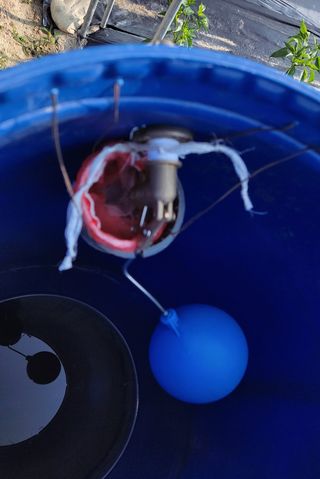 김중언님의 고추 · 영농일지 작성글 사진