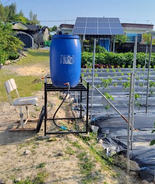 김중언님의 고추 · 영농일지 작성글 사진