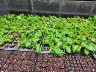 노블레스리무진님의 자유주제 · 사진전 작성글 사진