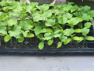 노블레스리무진님의 자유주제 · 사진전 작성글 사진