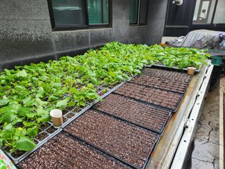 노블레스리무진님의 자유주제 · 사진전 작성글 사진