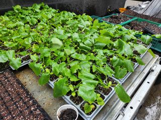 노블레스리무진님의 자유주제 · 사진전 작성글 사진