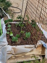 팜모닝 자유주제·자유게시판 게시글 이미지