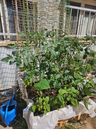 땅끝해남님의 자유주제 · 자유게시판 작성글 사진