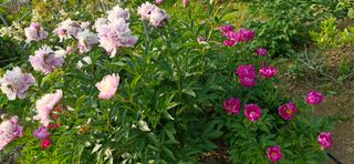 구계훈님의 자유주제 · 자유게시판 작성글 사진