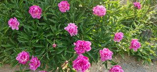 구계훈님의 자유주제 · 자유게시판 작성글 사진