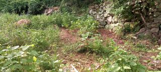 사과15865김도화님의 자유주제 · 자유게시판 작성글 사진