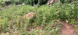 사과15865김도화님의 자유주제 · 자유게시판 작성글 사진