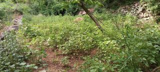 사과15865김도화님의 자유주제 · 자유게시판 작성글 사진