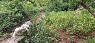 사과15865김도화님의 자유주제 · 자유게시판 작성글 사진