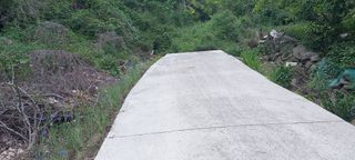 사과15865김도화님의 자유주제 · 자유게시판 작성글 사진