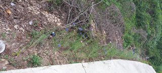 사과15865김도화님의 자유주제 · 자유게시판 작성글 사진