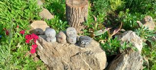 보령 게으른농부님의 자유주제 · 자유게시판 작성글 사진