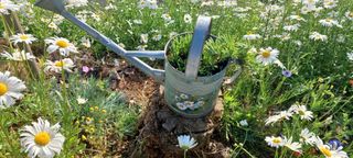 보령 게으른농부님의 자유주제 · 자유게시판 작성글 사진