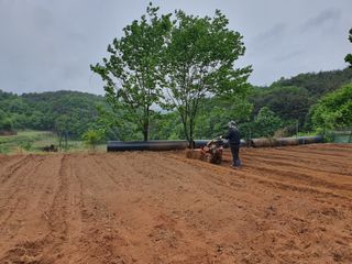 안씨농원님의 자유주제 · 자유게시판 작성글 사진