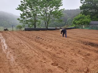 안씨농원님의 자유주제 · 자유게시판 작성글 사진