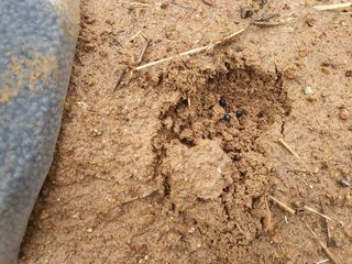 안씨농원님의 자유주제 · 자유게시판 작성글 사진