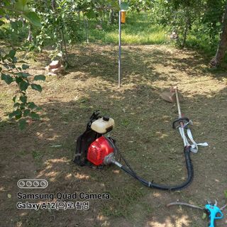 최동구님의 자유주제 · 자유게시판 작성글 사진