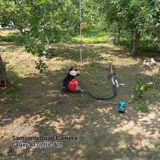 최동구님의 자유주제 · 자유게시판 작성글 사진