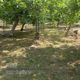 최동구님의 자유주제 · 자유게시판 작성글 사진