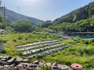 도곡님의 자유주제 · 자유게시판 작성글 사진