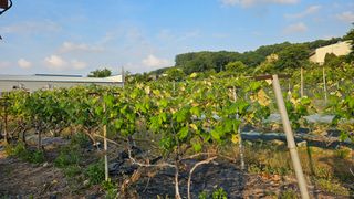 윤근순님의 자유주제 · 자유게시판 작성글 사진