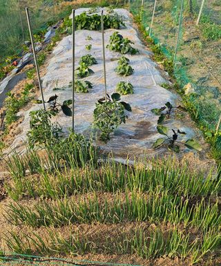 윤근순님의 자유주제 · 자유게시판 작성글 사진