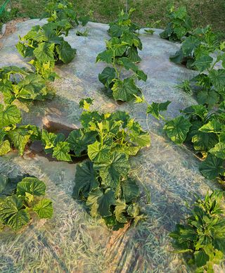 윤근순님의 자유주제 · 자유게시판 작성글 사진