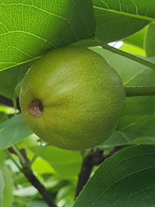 하나라도 소중하게님의 자유주제 · 자유게시판 작성글 사진