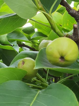 하나라도 소중하게님의 자유주제 · 자유게시판 작성글 사진
