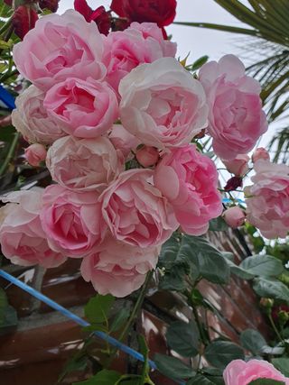 하나라도 소중하게님의 자유주제 · 자유게시판 작성글 사진