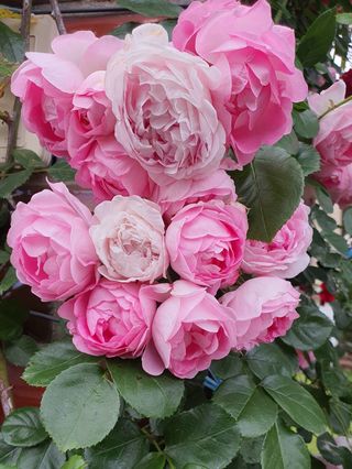 하나라도 소중하게님의 자유주제 · 자유게시판 작성글 사진