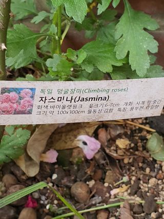 하나라도 소중하게님의 자유주제 · 자유게시판 작성글 사진