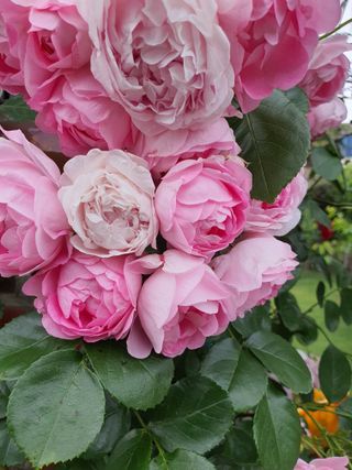 하나라도 소중하게님의 자유주제 · 자유게시판 작성글 사진