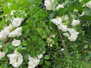 하나라도 소중하게님의 자유주제 · 자유게시판 작성글 사진