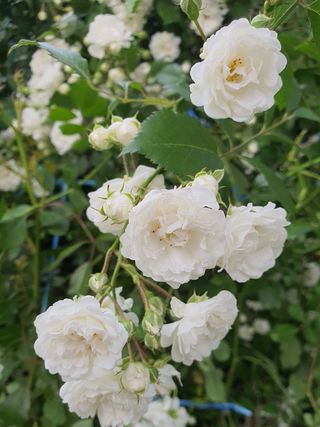 하나라도 소중하게님의 자유주제 · 자유게시판 작성글 사진