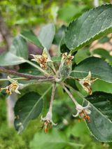 팜모닝 자유주제·자유게시판 게시글 이미지