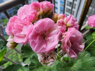 조용오님의 자유주제 · 사진전 작성글 사진