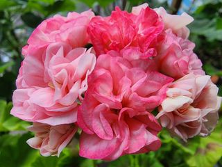 조용오님의 자유주제 · 사진전 작성글 사진