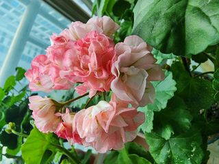 조용오님의 자유주제 · 사진전 작성글 사진