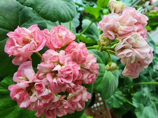 조용오님의 자유주제 · 사진전 작성글 사진