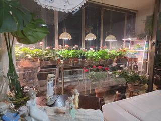 조용오님의 자유주제 · 사진전 작성글 사진