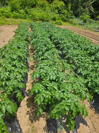 콩18222님의 자유주제 · 자유게시판 작성글 사진