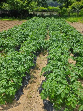 콩18222님의 자유주제 · 자유게시판 작성글 사진