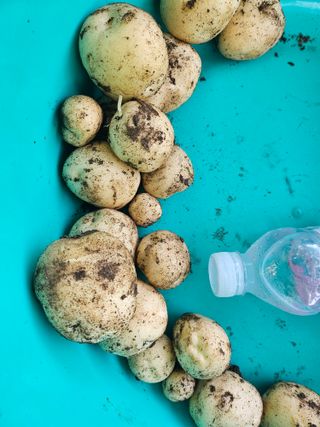 콩18222님의 자유주제 · 자유게시판 작성글 사진